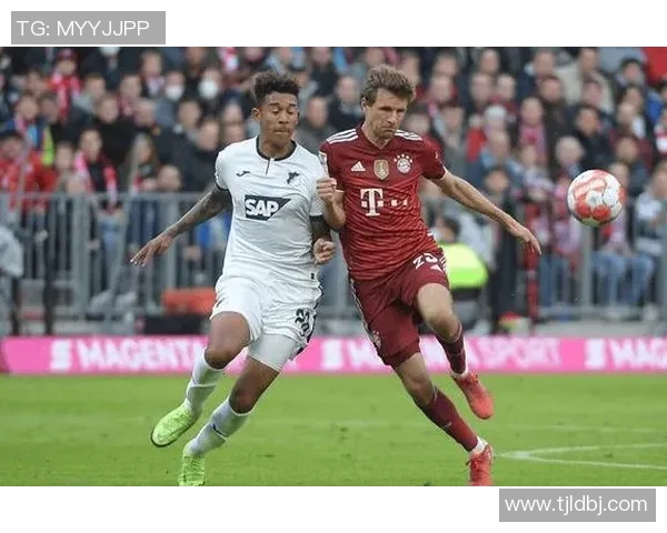 奥格斯堡主场迎战云达不来梅期待精彩对决与激烈竞争