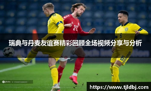 瑞典与丹麦友谊赛精彩回顾全场视频分享与分析